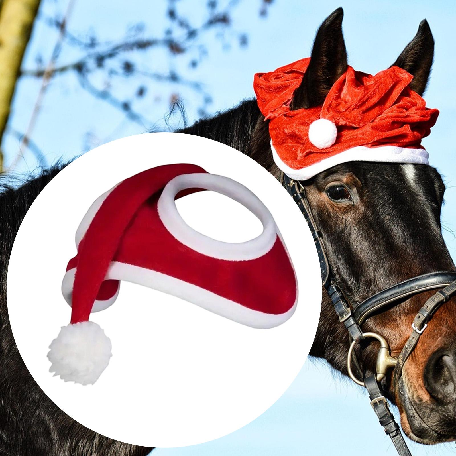Grooming Kit Horse - Chapeau de cheval de noël, habillage,