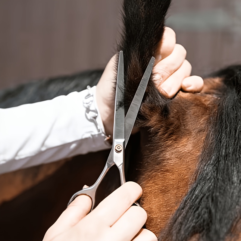 Grooming Kit Horse - Kit d'outils de toilettage pour chevaux