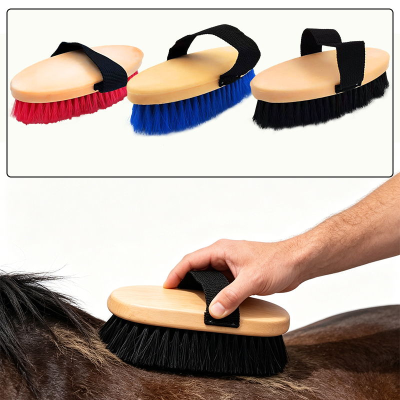 Grooming Kit Horse - Brosse de toilettage elliptique pour chevaux