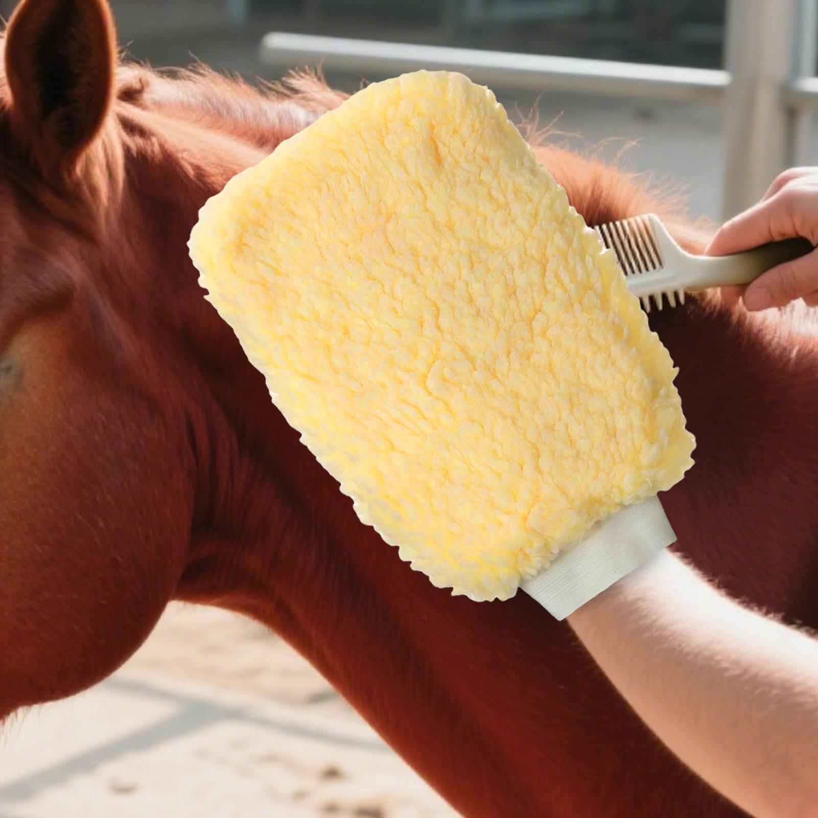 Grooming Kit Horse - Gant applicateur de tique pour chevaux,