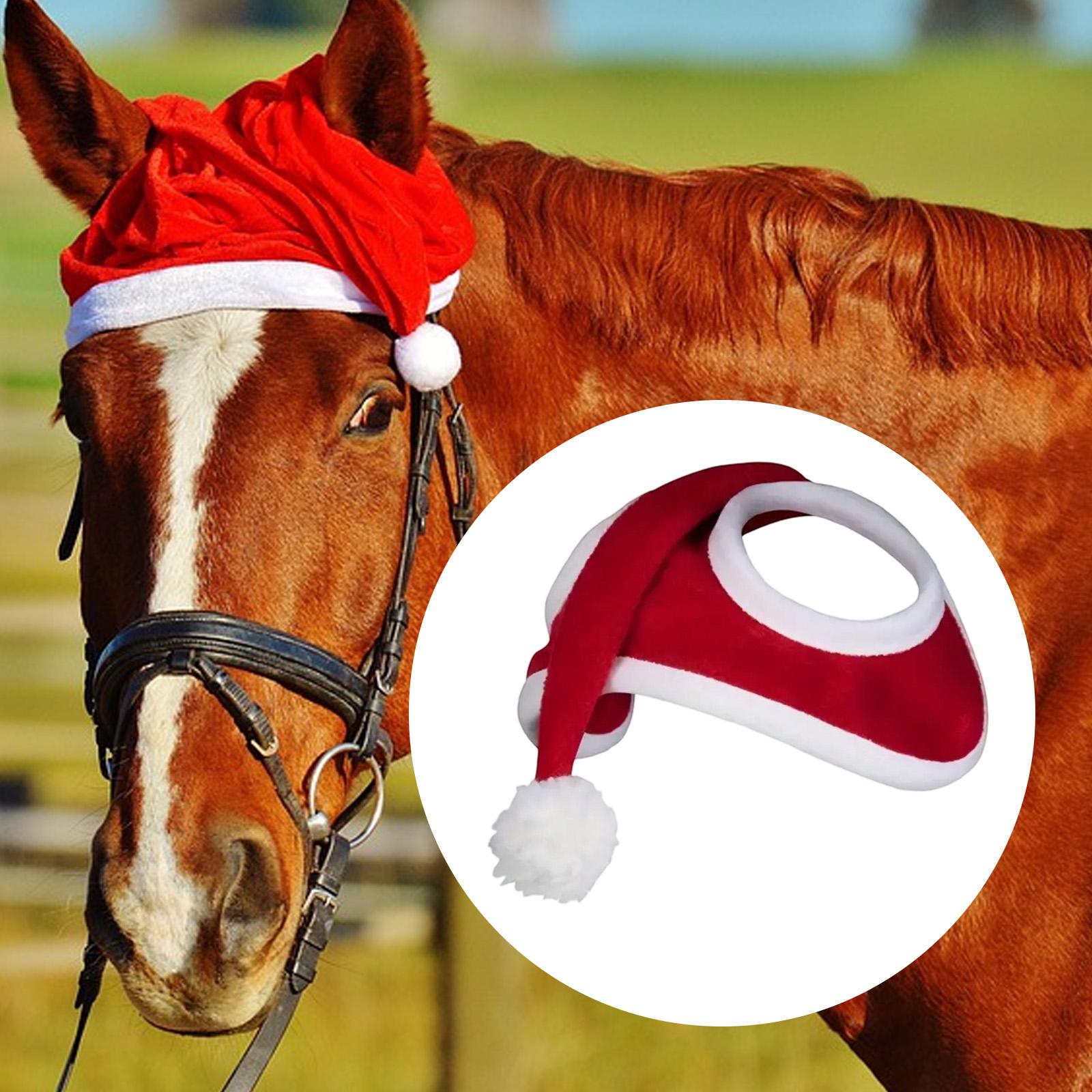 Chapeau de cheval de noël, hab - Grooming Kit Horse avis et prix
