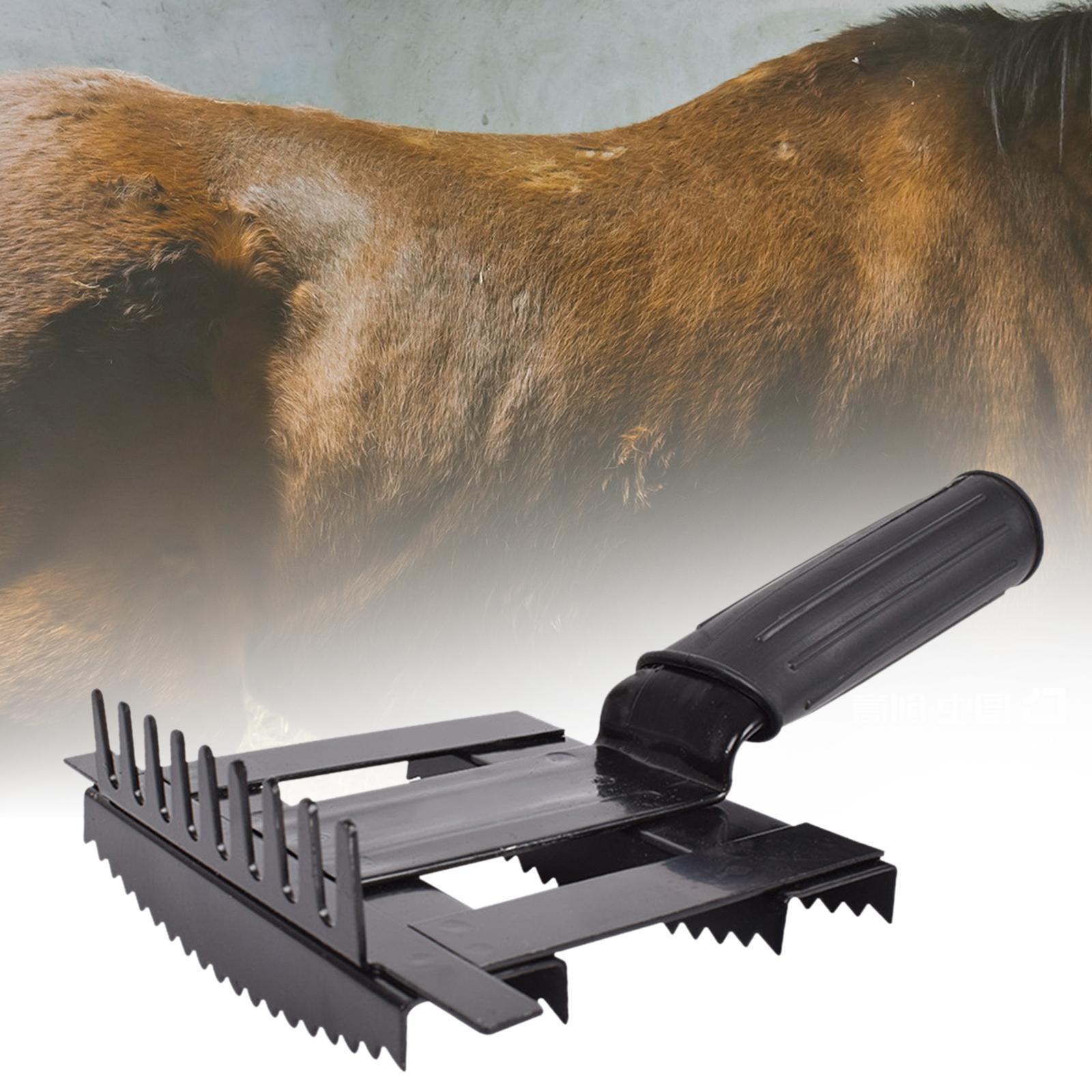 Peigne de perte de bétail, bro - Grooming Kit Horse avis et prix