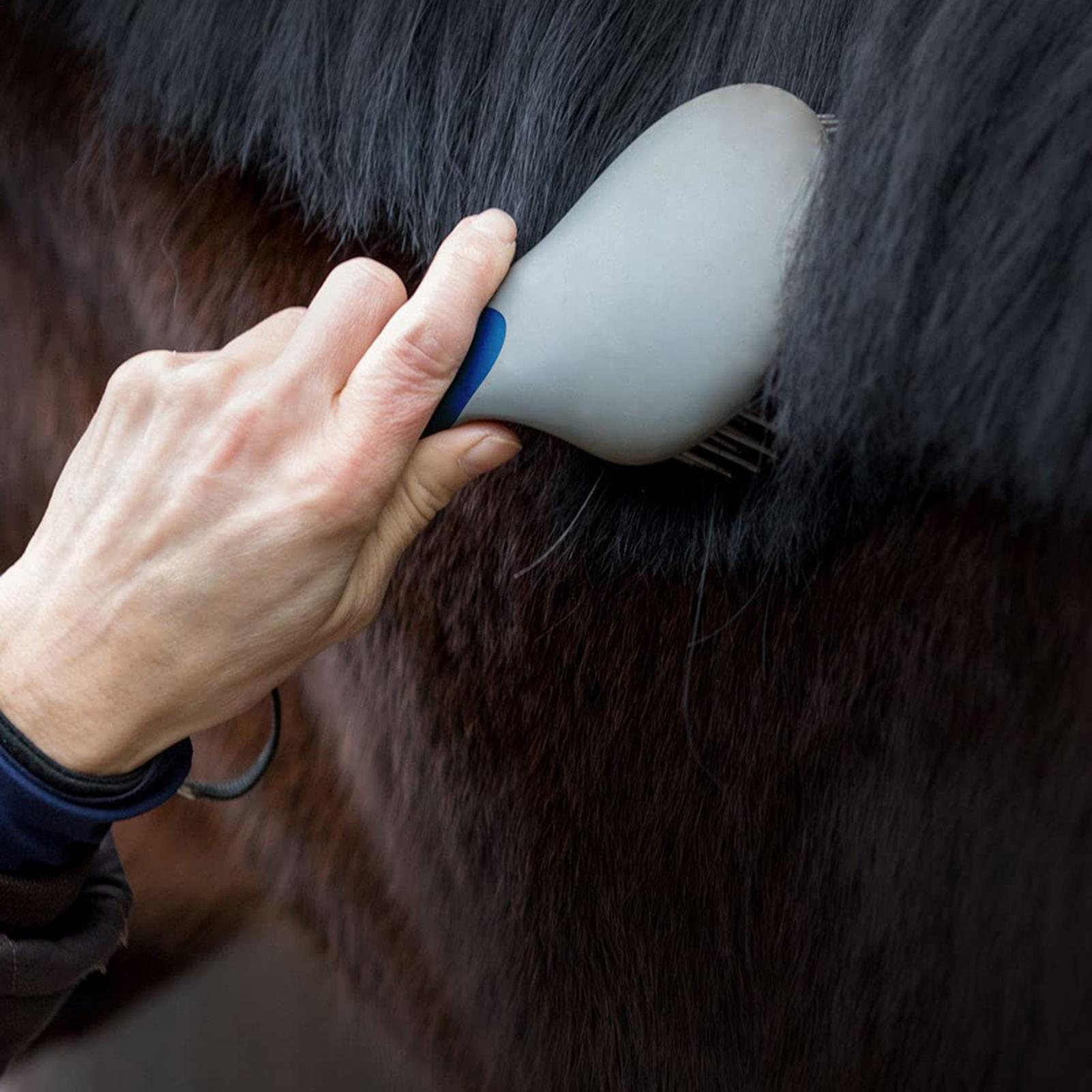 Brosses à chevaux pour le toil - Grooming Kit Horse avis et prix