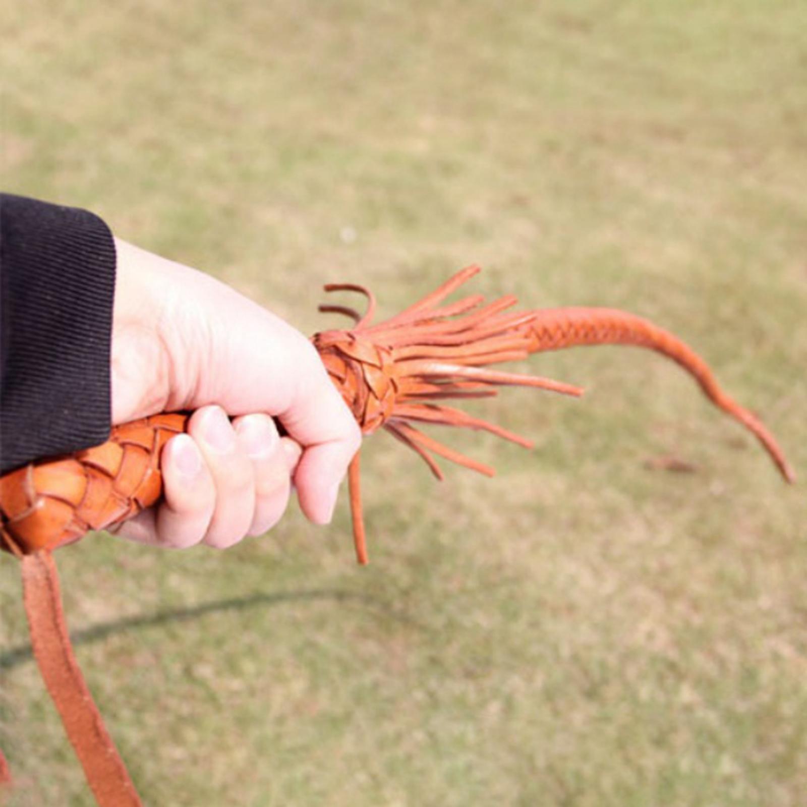 Fouet d'équitation en cuir PU  - Riding Crop Dressage avis et prix