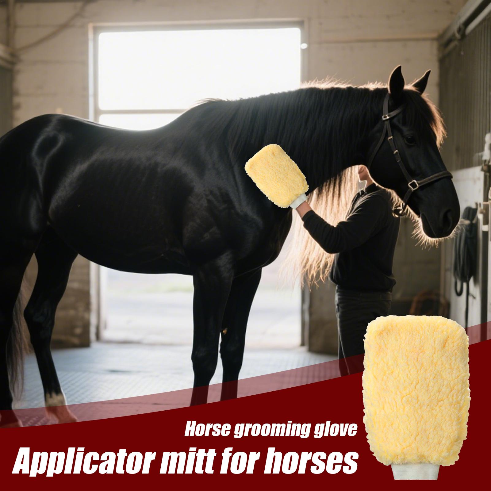 Gant applicateur de tique pour - Grooming Kit Horse avis et prix