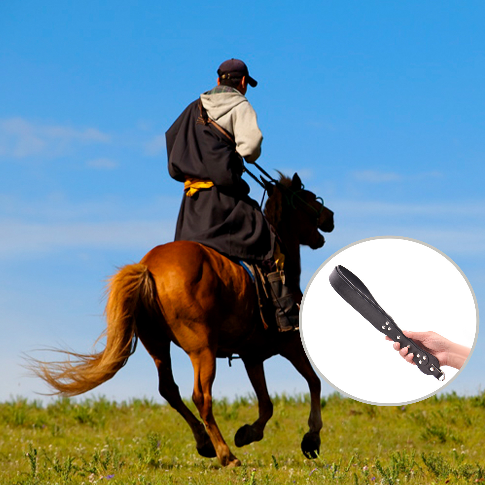 Fouet d'entraînement équestre  - Riding Crop Dressage avis et prix