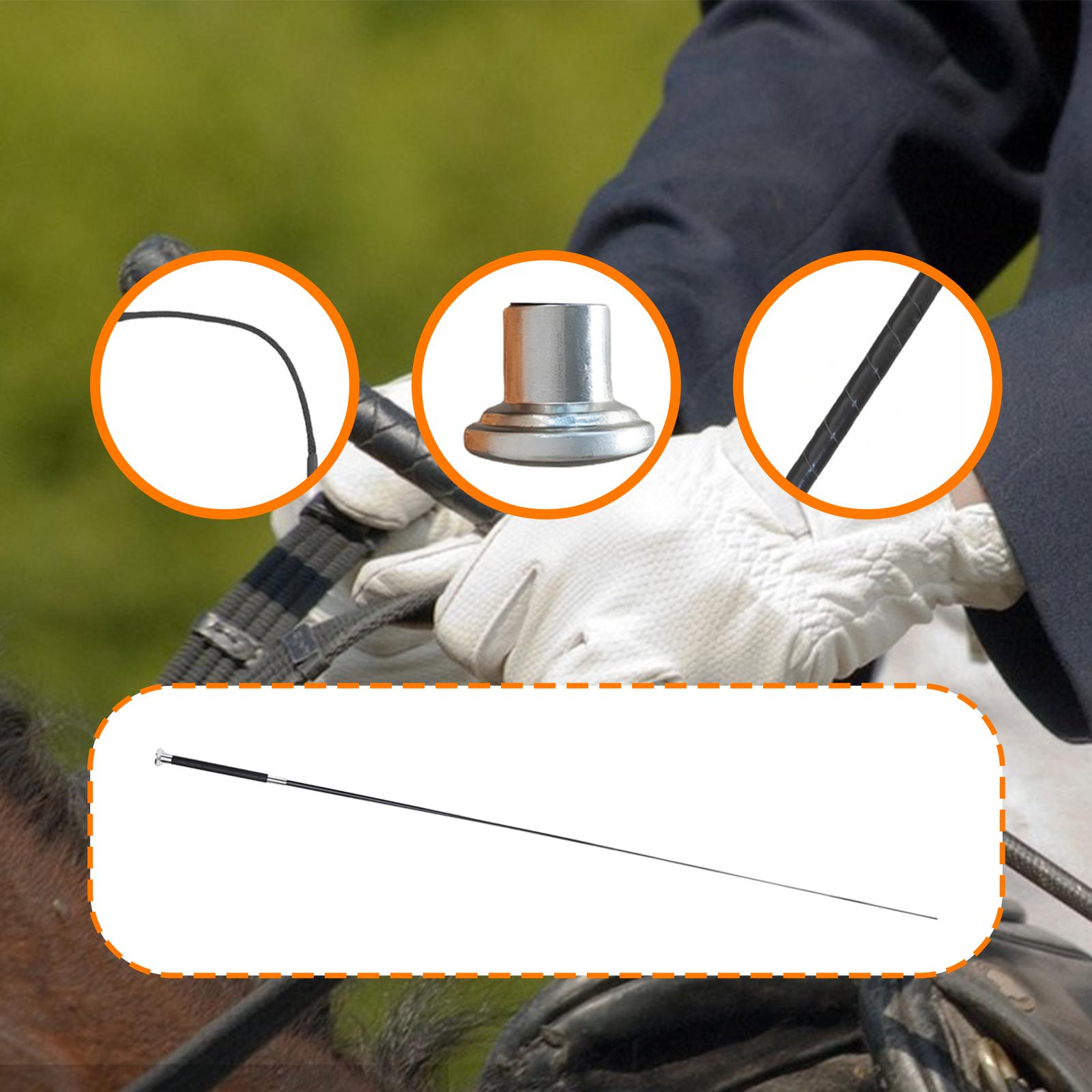 Fouet polyvalent en métal, nyl - Riding Crop Dressage avis et prix